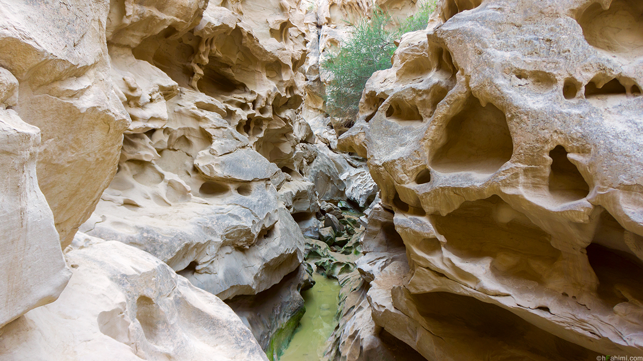 Chahkooh canyon III