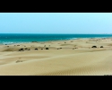 desert and sea